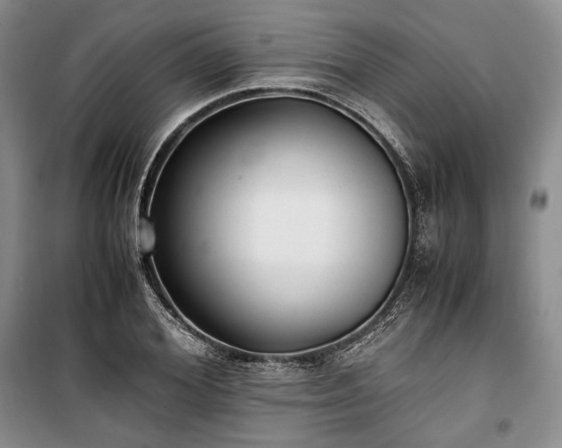 X0000100350980200806130948