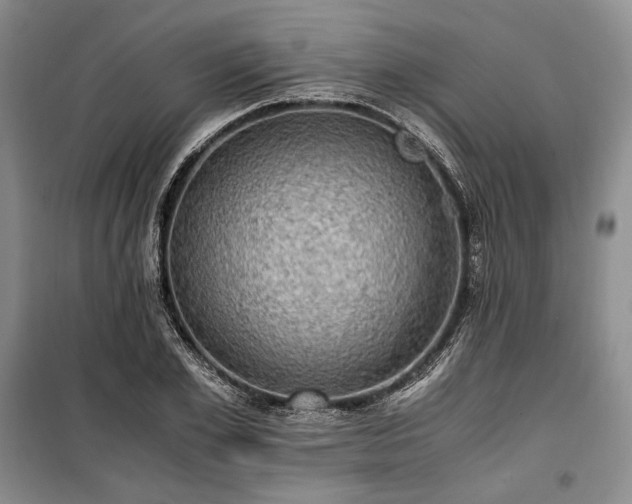 X0000100350981200806130948