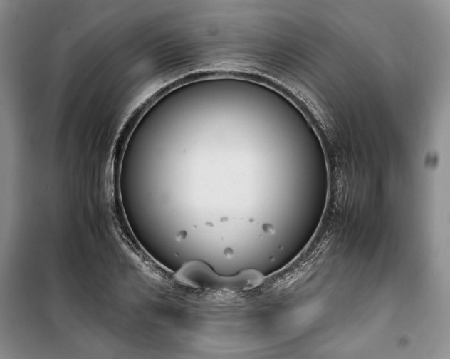 X0000100350982200806130948