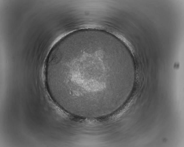 X0000100350983200806130948