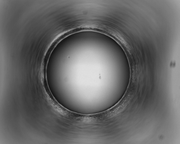 X0000100350984200806130948