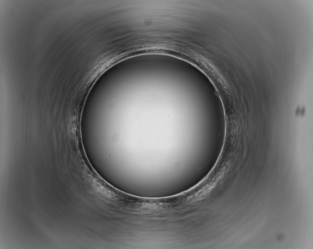 X0000100350985200806130948