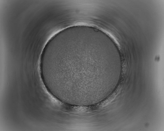 X0000100350991200806130948