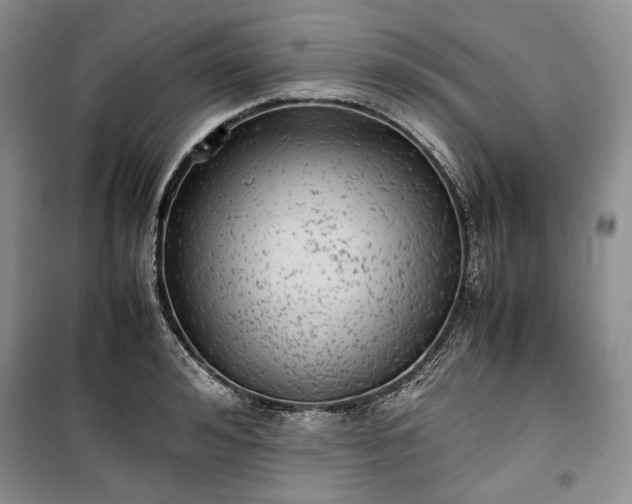 X0000100350992200806130948