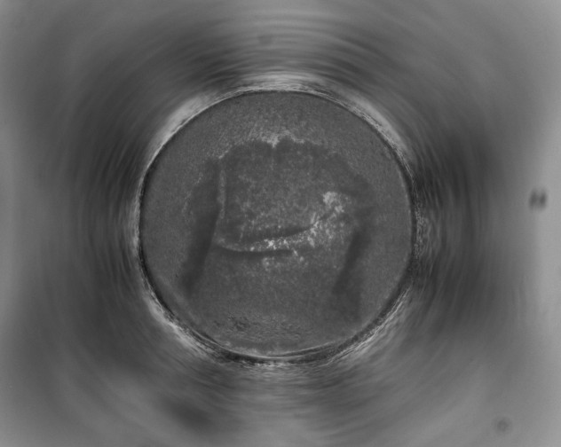 X0000100350994200806130948