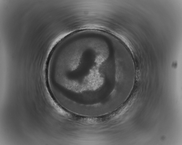 X0000100350995200806130948