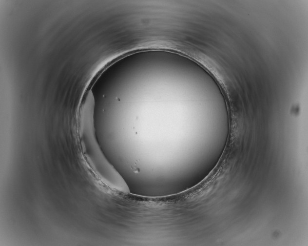 X0000100350996200806130948