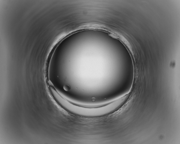 X0000100350997200806130948