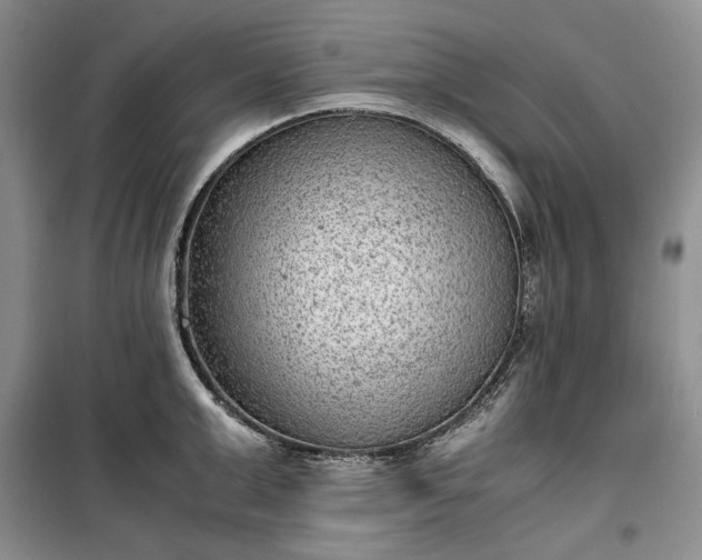 X0000100350999200806130948