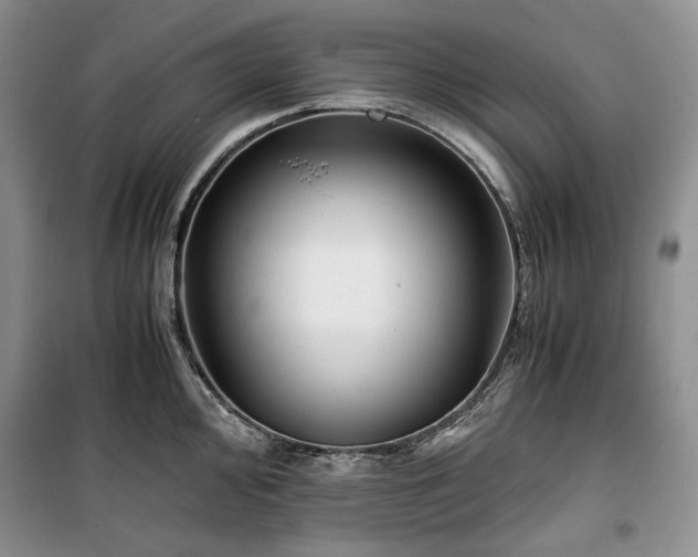 X0000100351000200806130948