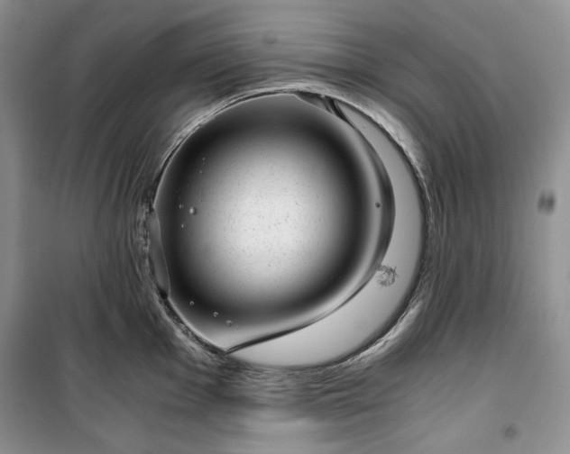 X0000100351001200806130948