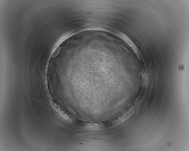 X0000100351002200806130948