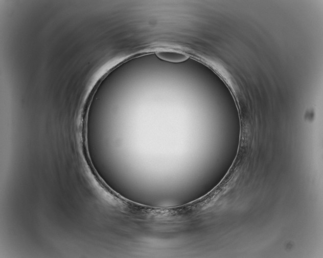 X0000100351003200806130948