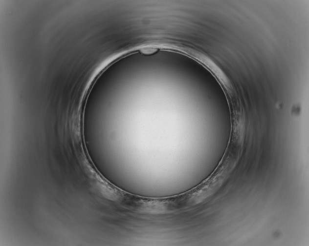 X0000100351004200806130948