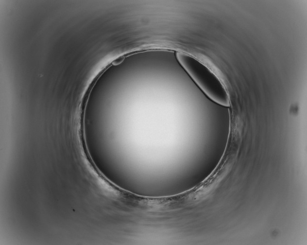 X0000100351005200806130948