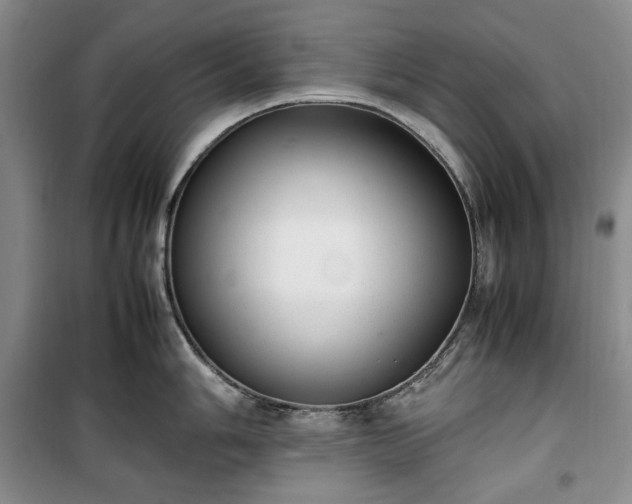 X0000100351006200806130948