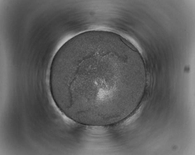X0000100351007200806130948