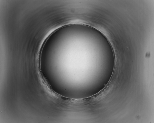 X0000100351008200806130948