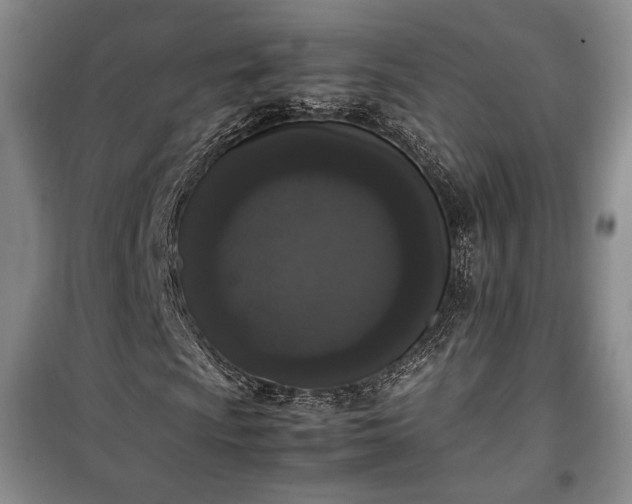 X0000100351009200806130947