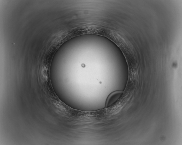 X0000100351010200806130947