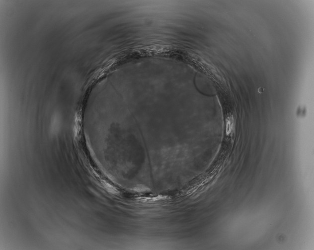X0000100351011200806130947