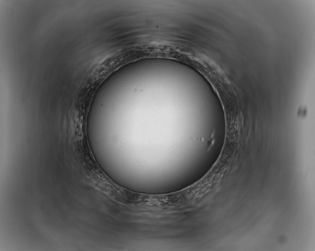 X0000100351013200806130947
