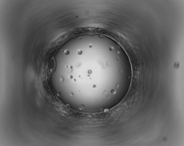 X0000100351014200806130947
