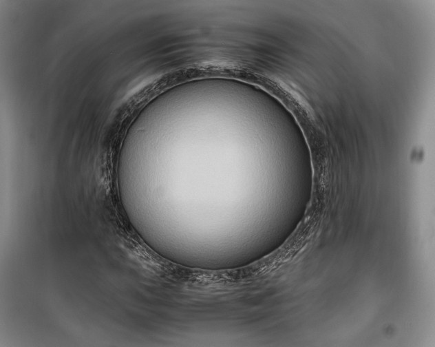 X0000100351015200806130947
