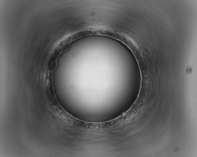 X0000100351016200806130947