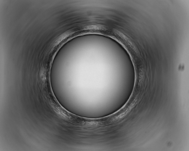 X0000100351017200806130947