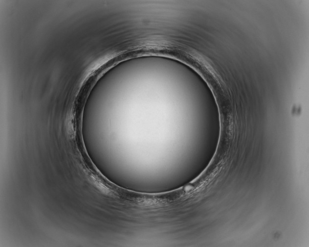 X0000100351018200806130947