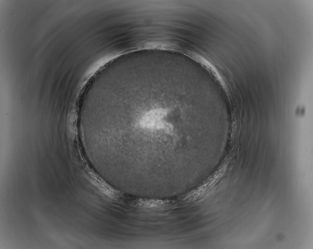 X0000100351019200806130947