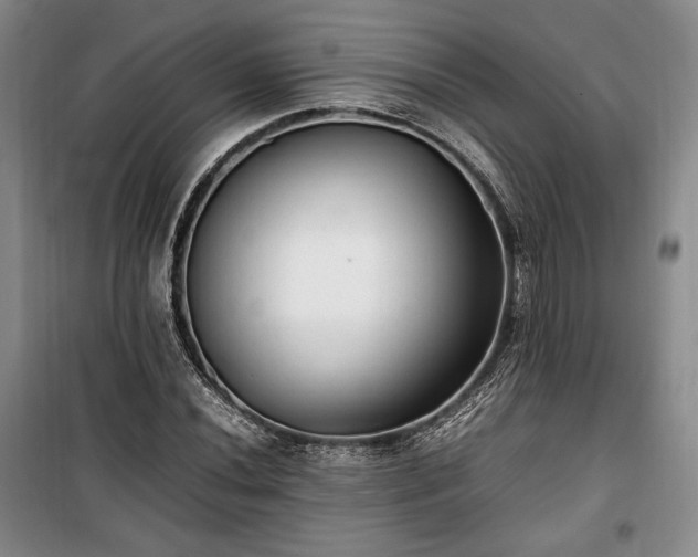 X0000100351020200806130947