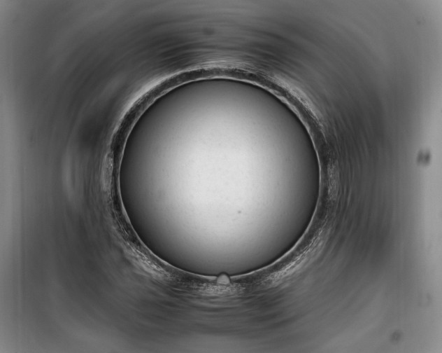 X0000100351021200806130947