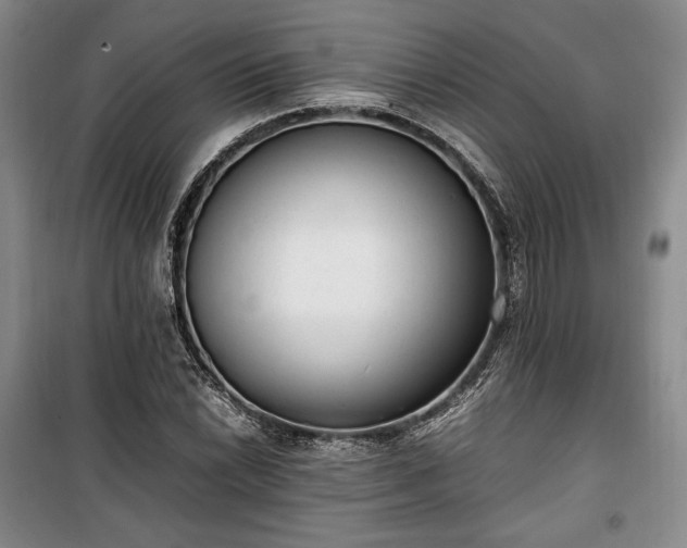 X0000100351022200806130947