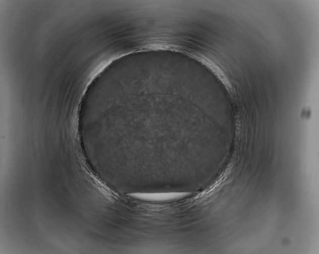 X0000100351023200806130947