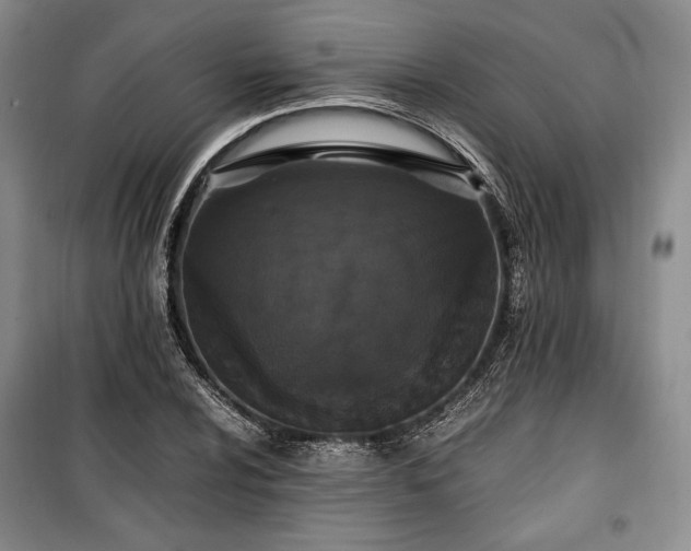 X0000100351024200806130947