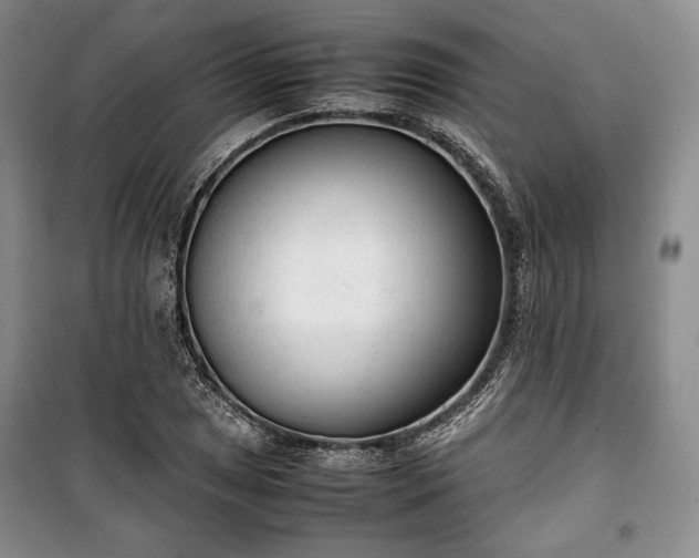 X0000100351025200806130947