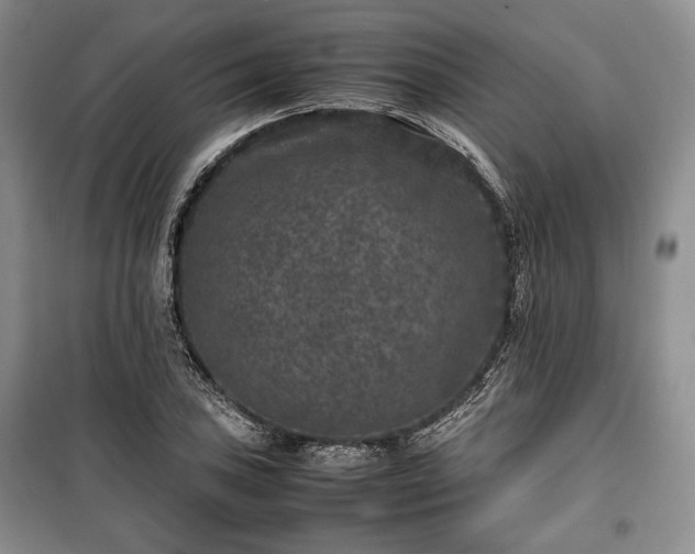 X0000100351027200806130947