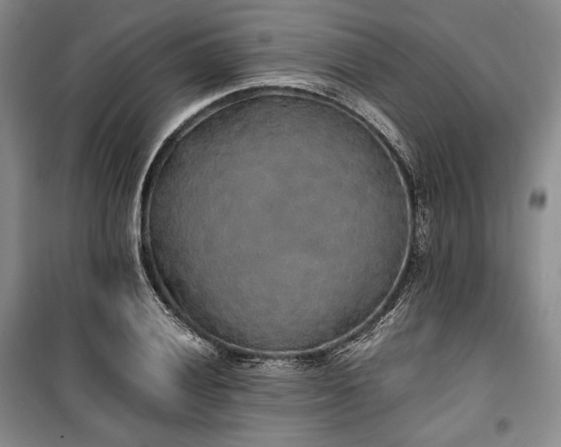 X0000100351028200806130947