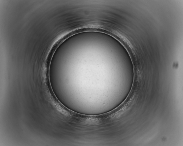 X0000100351029200806130947