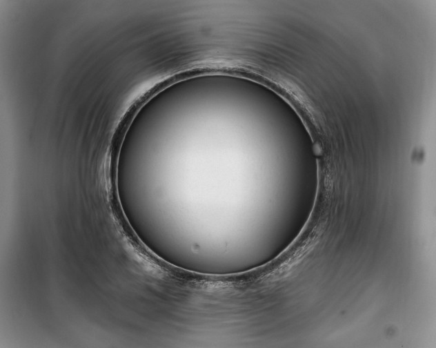 X0000100351030200806130947