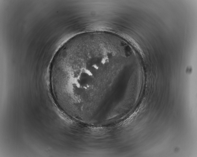 X0000100351031200806130947