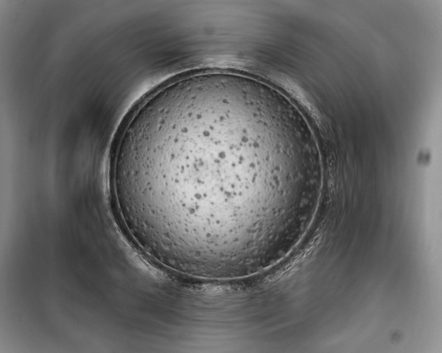 X0000100351032200806130947
