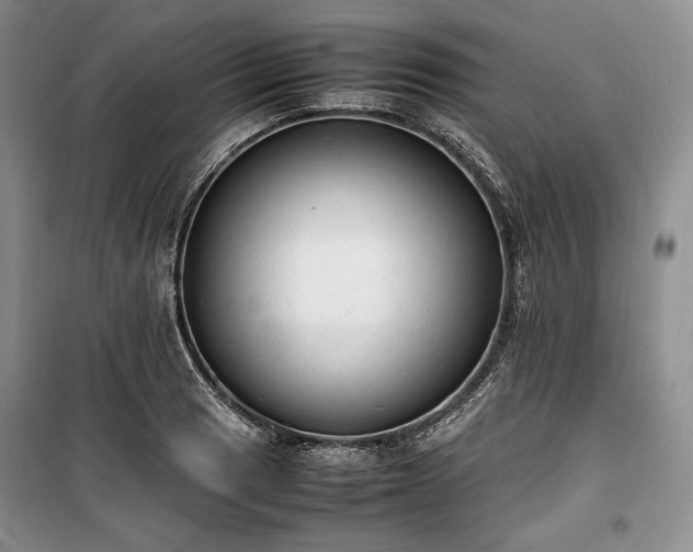 X0000100351033200806130947