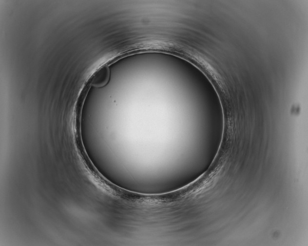 X0000100351034200806130947
