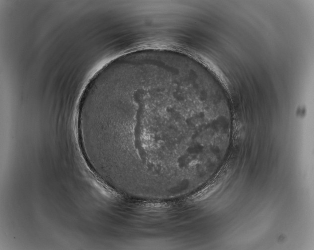 X0000100351035200806130947