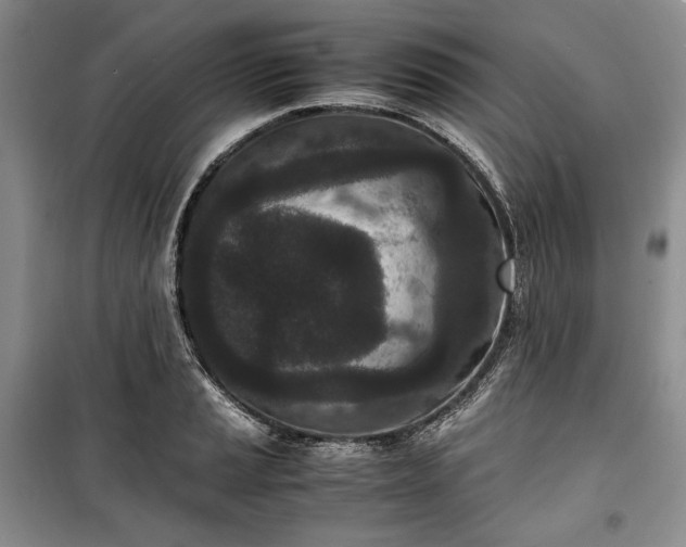X0000100351037200806130947