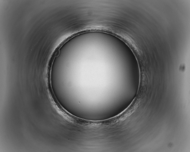 X0000100351038200806130947