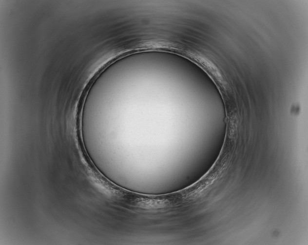 X0000100351039200806130947